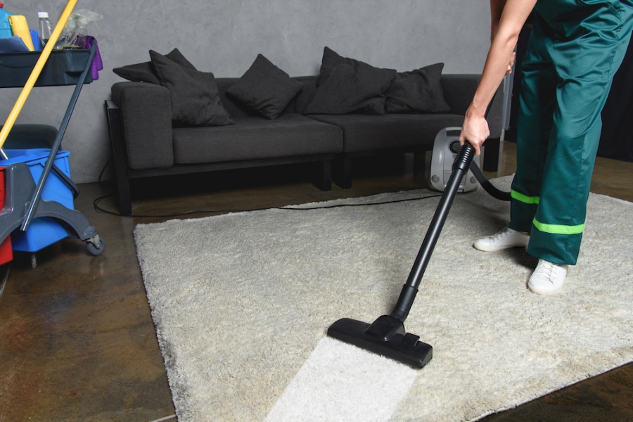 A Guide for Effective Carpet Cleaning and Care