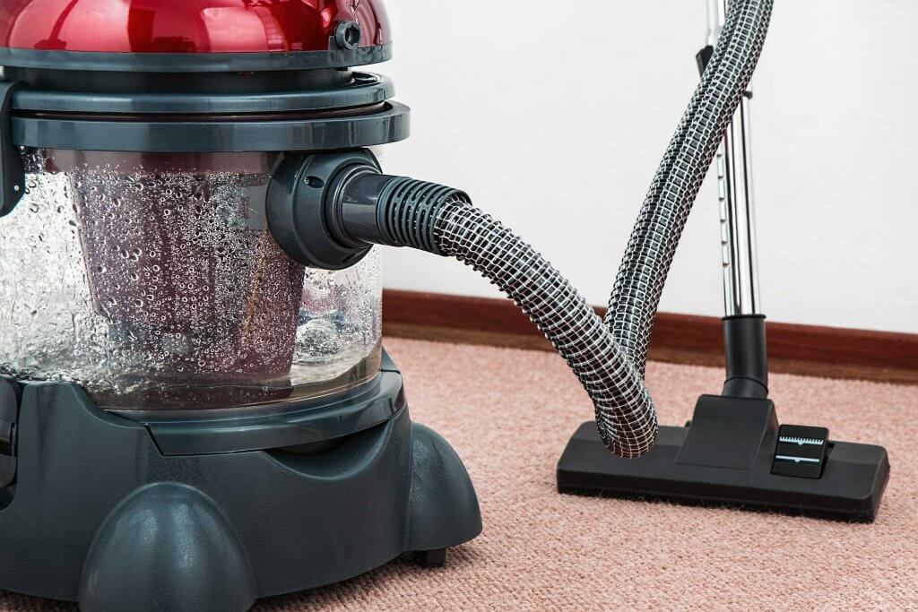 Hire A Professional Carpet Cleaner Before The Holidays Arrive?